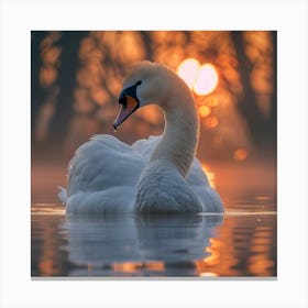 Sunrise Swan 2 Canvas Print
