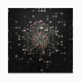 Vintage Allium Carolinianum Botanical Wreath on Dot Bokeh Pattern n.0070 Canvas Print