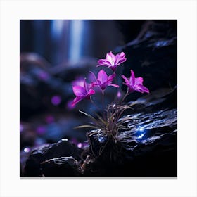 up close on a black rock in a mystical fairytale forest, alice in wonderland, mountain dew, fantasy, mystical forest, fairytale, beautiful, flower, purple pink and blue tones, dark yet enticing, Nikon Z8 2 Canvas Print