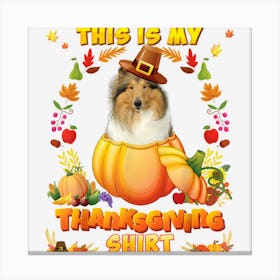 This Is My Thanksgiving Shirt Collie Dog Blessed Pumpkin Canvas Print