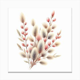 Flowers of Catkin 2 Canvas Print