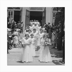 Untitled Photo, Possibly Related To Queen And Her Court Of The Fiesta Of The Holy Ghost Leave Church, Santa Clara, Canvas Print