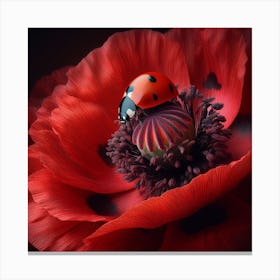 Red Poppy and Ladybird  Canvas Print