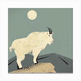 Mountain Goat Canvas Print