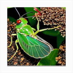 Green Grasshopper 1 Canvas Print