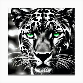 Jaguar 8 Canvas Print