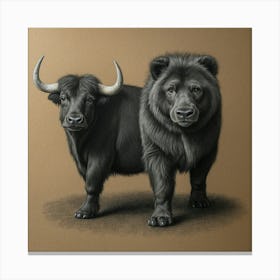 Yak And Bull Canvas Print