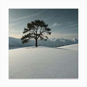 Lone Tree In The Snow 1 Canvas Print