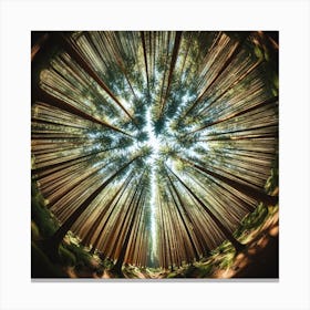 Circle Of Trees 3 Canvas Print