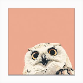 Owl Painting Canvas Print