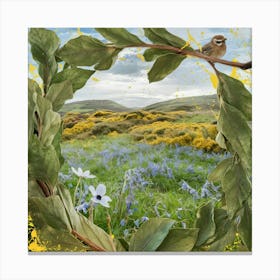 Scottish Countryside Canvas Print