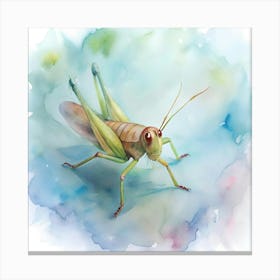 Grasshopper Canvas Print