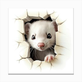 Ferret 1 Canvas Print