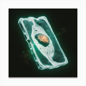 Cell Cell Canvas Print
