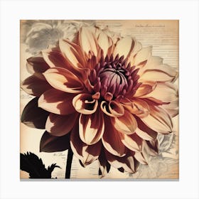 Dahlia Floral Botanical Vintage Poster 5 Canvas Print