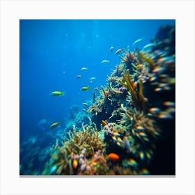 Great Barrier reef 8 Canvas Print