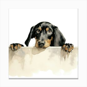 Dachshund 7 Canvas Print