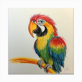 Parrot 49 Canvas Print