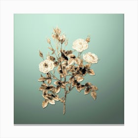 Gold Botanical Rosier Pompon on Mint Green n.2708 Canvas Print