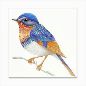 Bluebird 4 Canvas Print