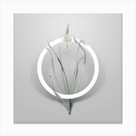 Vintage Wild Asparagus Minimalist Floral Geometric Circle on Soft Gray n.0369 Canvas Print