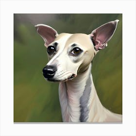 Whippet dog Canvas Print