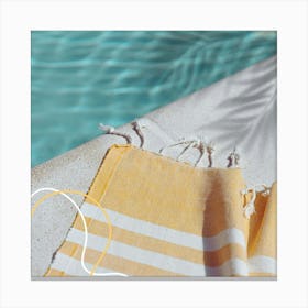 Turkish Towel Toile