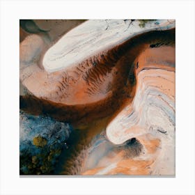 Aerial View Of A River Canvas Print