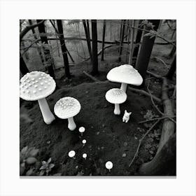 Mushrooms In The Woods Canvas Print