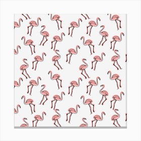 Pink Flamingos 1 Canvas Print