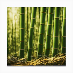 Bamboo Forest 2 Canvas Print