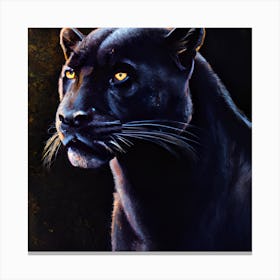 Beautiful Black Panther 1 Canvas Print