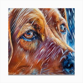 Dog In The Rain Canvas Print
