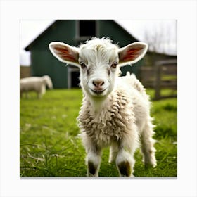 Grass Rural Green Goat Farm White Nature Field Mammal Milk Farming Farm Animal Domestic 2 Canvas Print