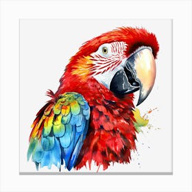 Colorful Parrot 23 Toile