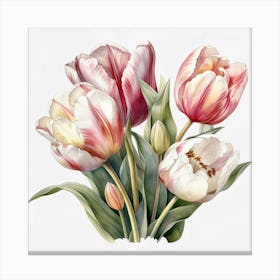 Watercolor Tulips 7 Canvas Print