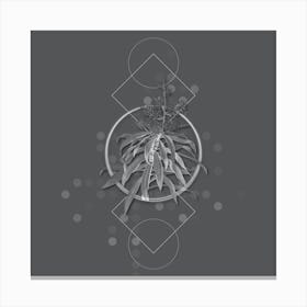 Vintage Pleomele Botanical with Line Motif and Dot Pattern in Ghost Gray Canvas Print