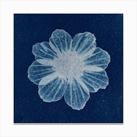 Flower On A Blue Background Canvas Print