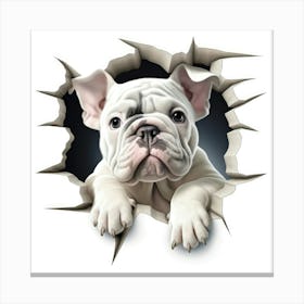 French Bulldog 1 Canvas Print