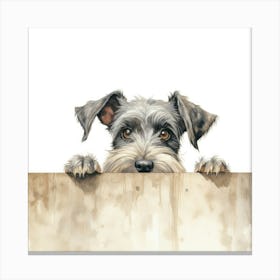 Standard Schnauzer Dog 1 Canvas Print