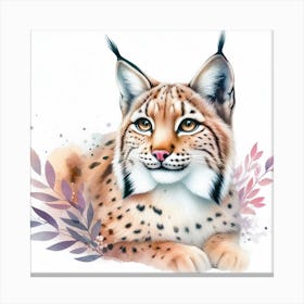 Lynx 13 Canvas Print
