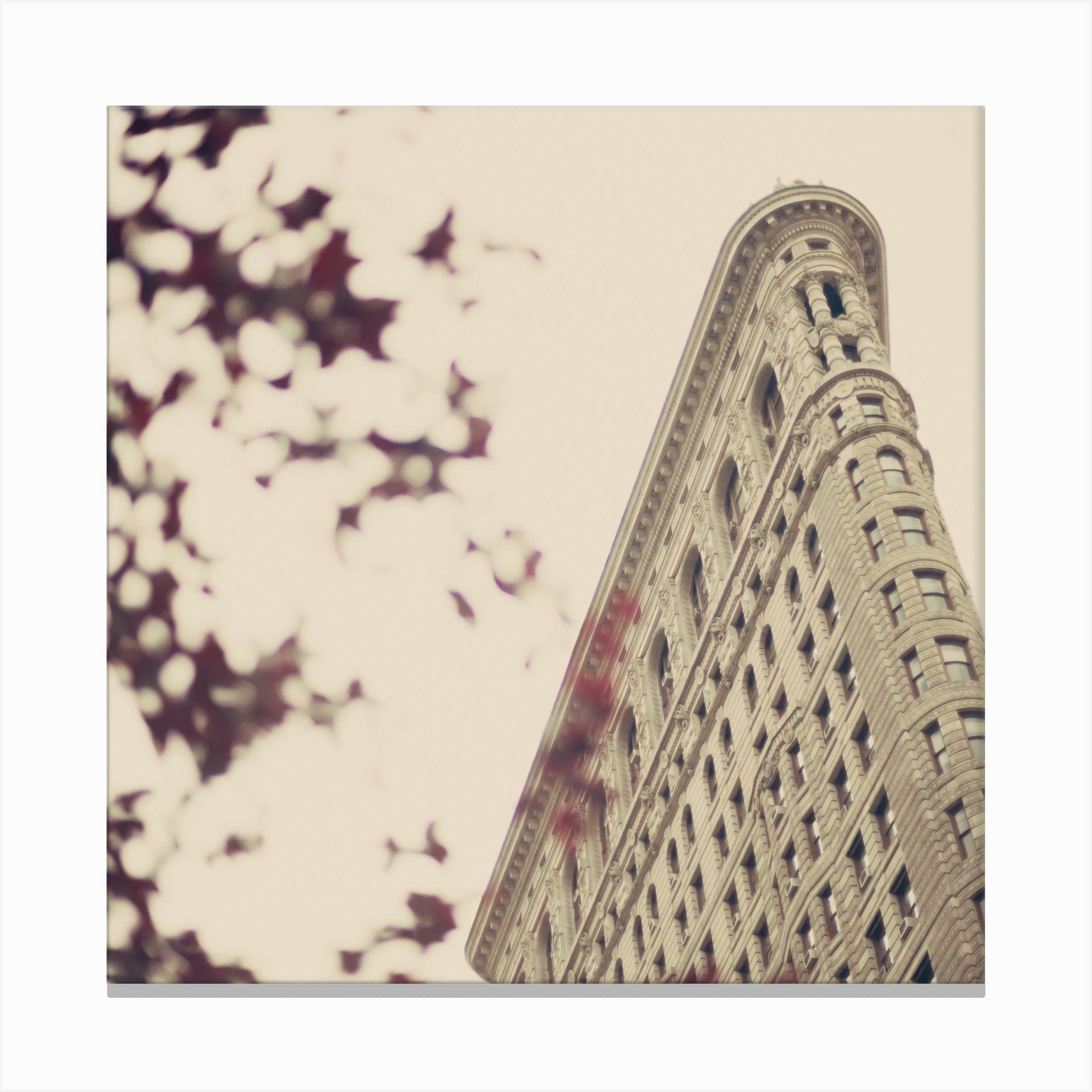 The Flat Iron In The Fall Canvas Print by Caroline Mint Art