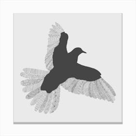 Grey Bird Canvas Print