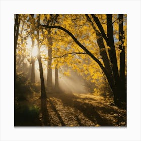 Sunbeams In The Forest Canvas Print