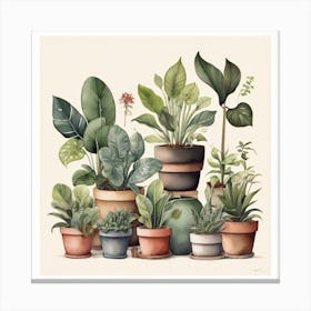 Potted Plants Canvas Print