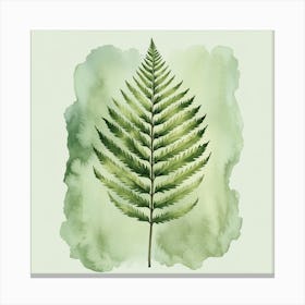 Watercolor Fern Leaf 1 Canvas Print