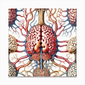 Brain And Nervous System 7 Canvas Print