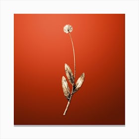 Gold Botanical Victory Onion on Tomato Red n.2531 Canvas Print