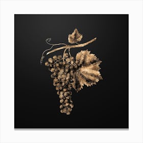 Gold Botanical Berzemina Grape on Wrought Iron Black n.3386 Canvas Print