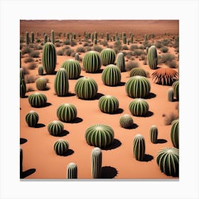 Cactus In The Desert Canvas Print